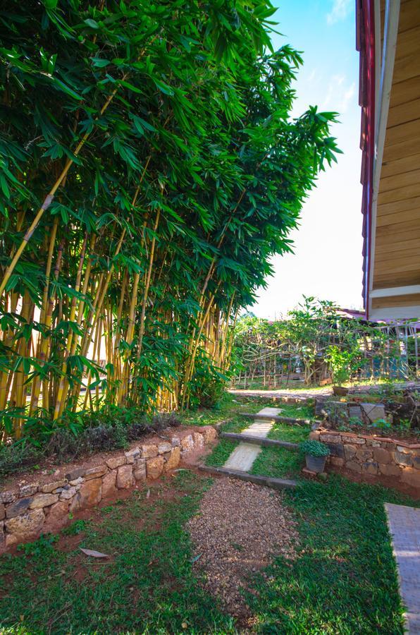 Summit View Bed and Breakfast Kandy Eksteriør billede