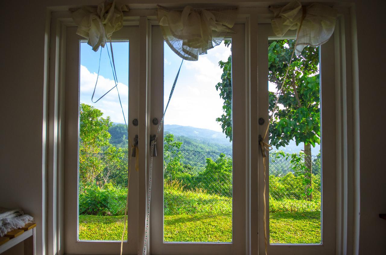 Summit View Bed and Breakfast Kandy Eksteriør billede