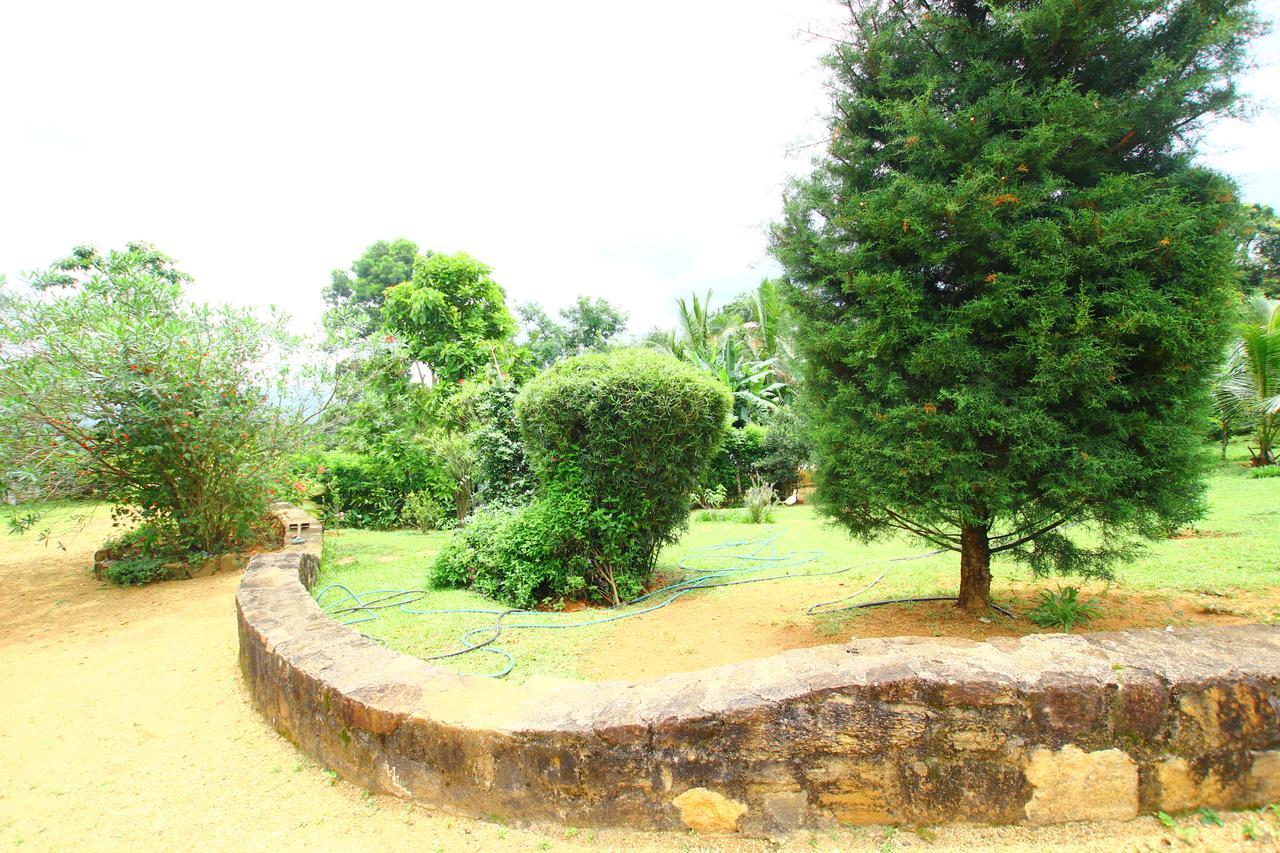 Summit View Bed and Breakfast Kandy Eksteriør billede