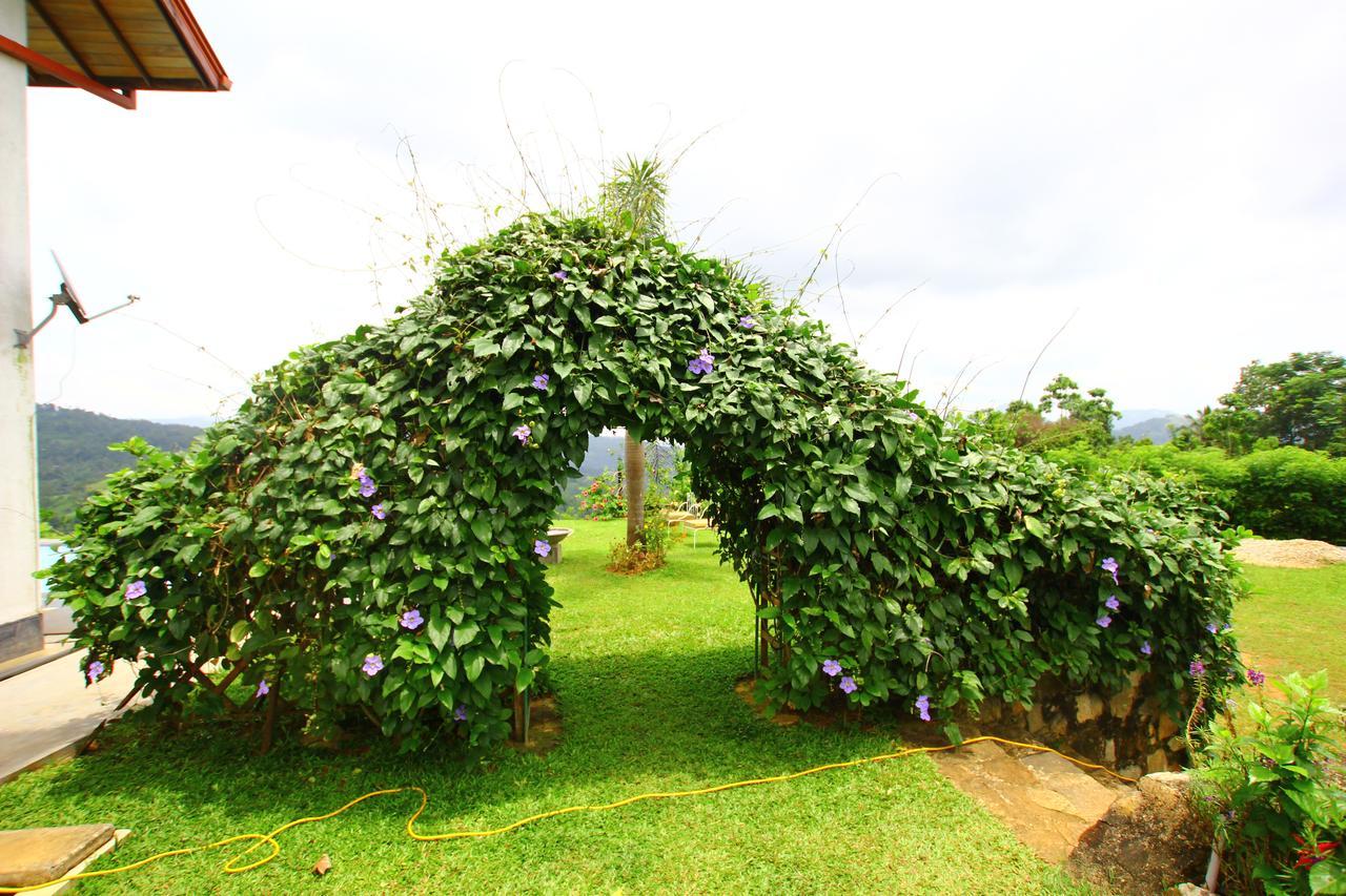 Summit View Bed and Breakfast Kandy Eksteriør billede