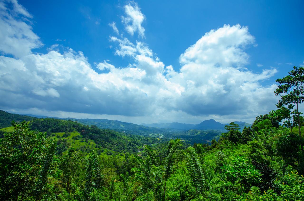 Summit View Bed and Breakfast Kandy Eksteriør billede