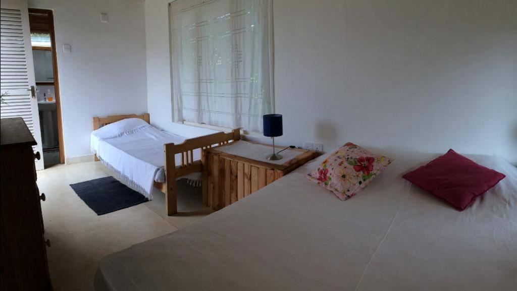 Summit View Bed and Breakfast Kandy Eksteriør billede